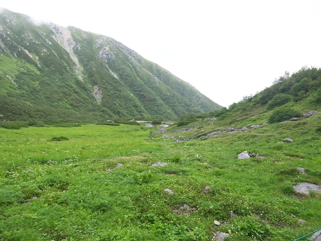 Green vegetation and scattered rocks fill a mountain basin beneath a steep, partly cloud-covered wall.