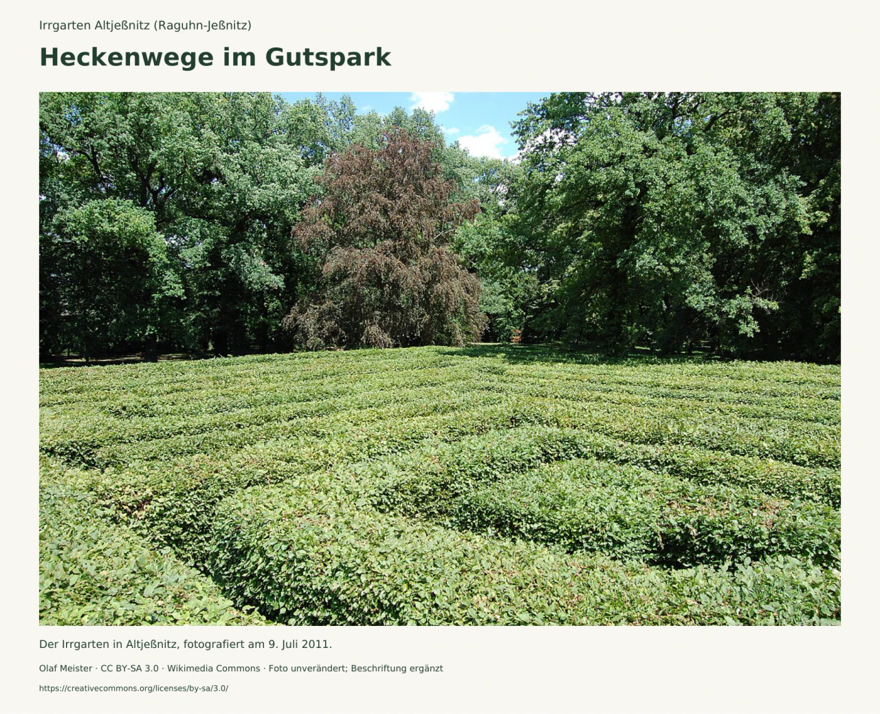 Blick über die dicht geschnittenen grünen Hecken des Irrgartens; dahinter stehen hohe Parkbäume unter blauem Sommerhimmel.