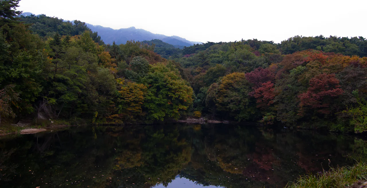 Dark pond water reflects green, yellow and rust-coloured woodland beneath a distant mountain ridge.