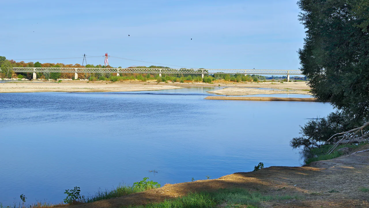 Blue river and exposed pale gravel bars beneath a long metal bridge, framed by a leafy tree.