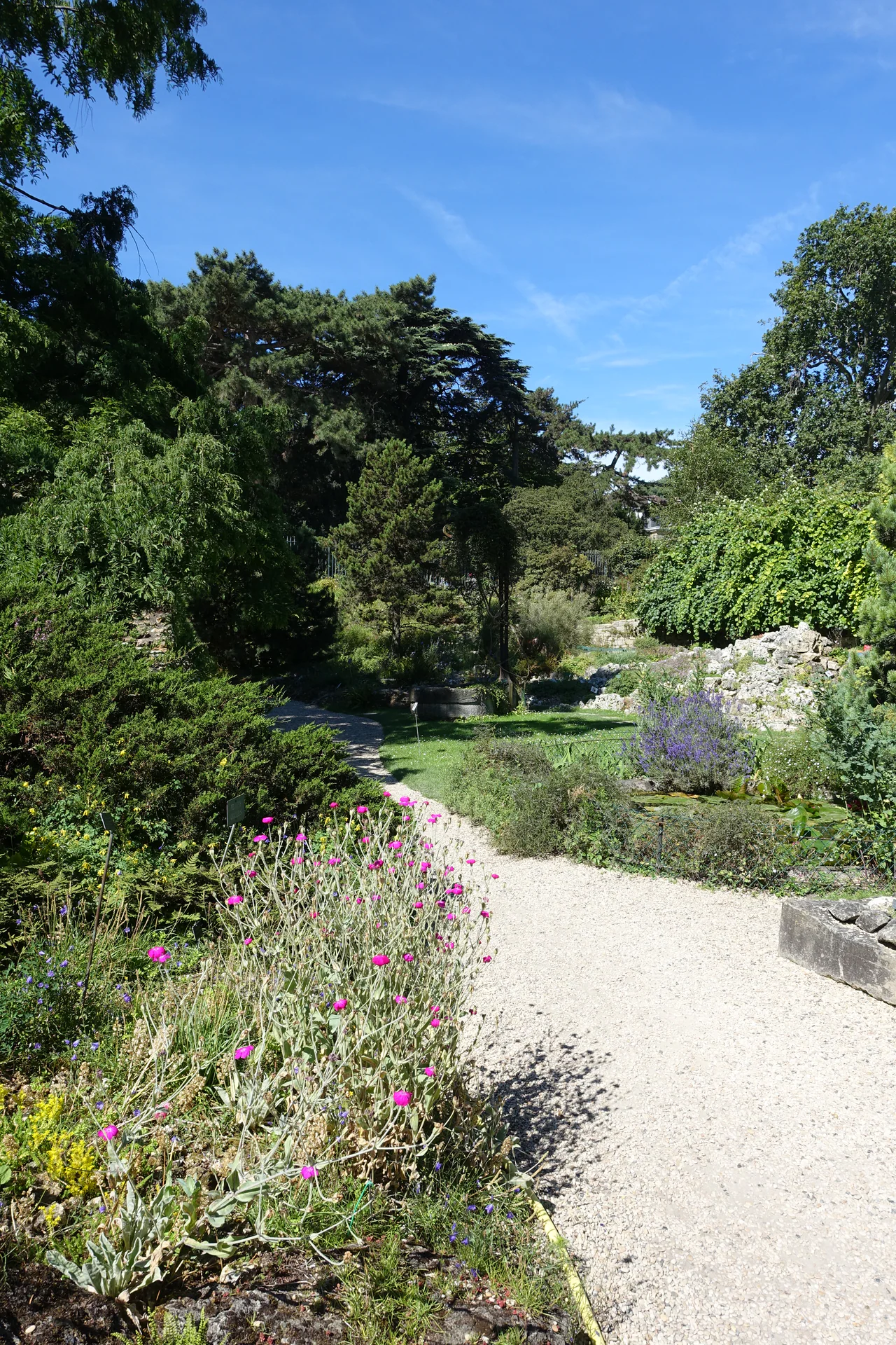 A pale gravel path curves between pink flowers, planted rock beds and a small pond beneath leafy trees and a blue sky.