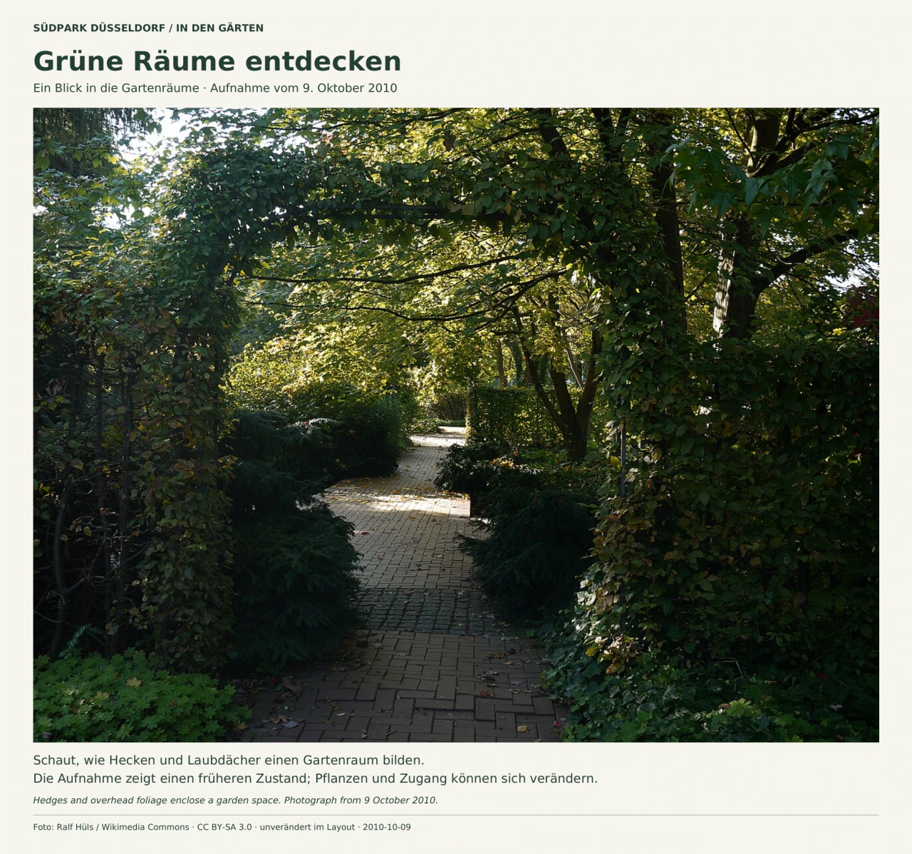 Ein schmaler gepflasterter Gartenweg führt zwischen dunklen geschnittenen Hecken hindurch. Belaubte senkrechte Stämme und waagerechte Zweige bilden einen grünen Rahmen über dem Weg. Sonnenlicht fällt durch die Blätter auf die Pflastersteine.