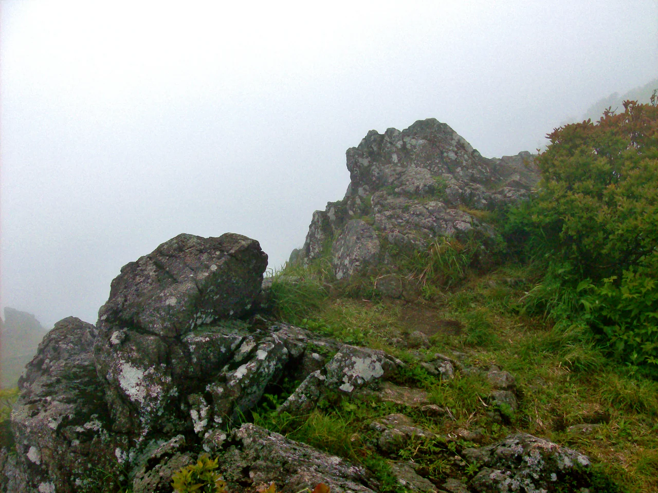 Lichen-marked rocks, green grasses and shrubs on a mountainside disappearing into dense white mist.