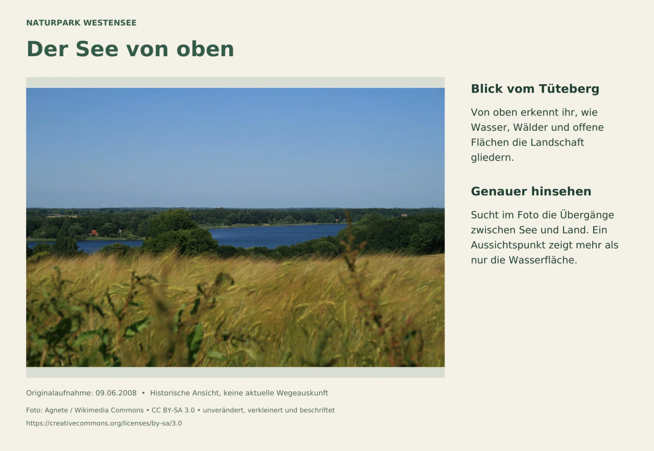Vom Tüteberg reicht der Blick über eine grüne Landschaft zum Westensee und seinen bewaldeten Ufern.