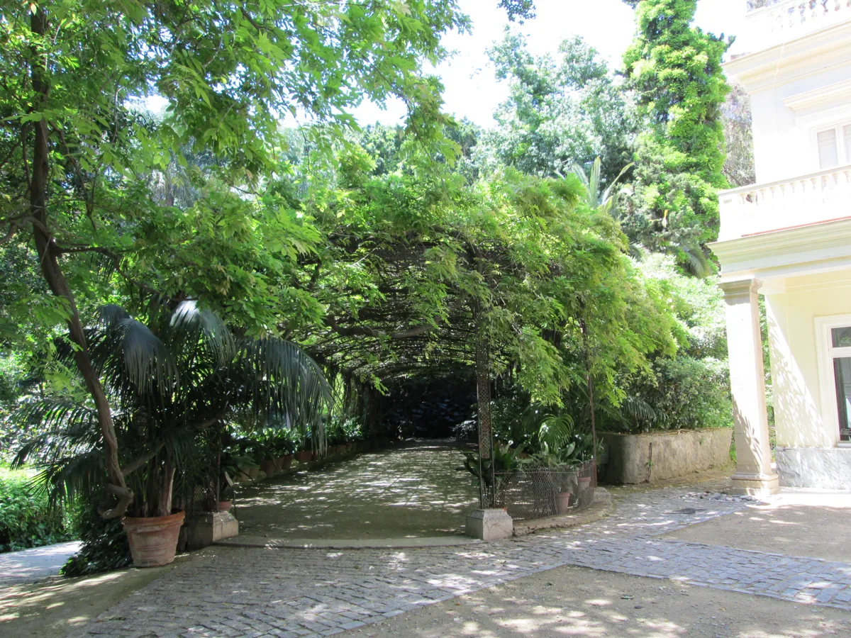 A leafy metal arbour shades a paved garden space beside a pale building, palms and dense green planting.