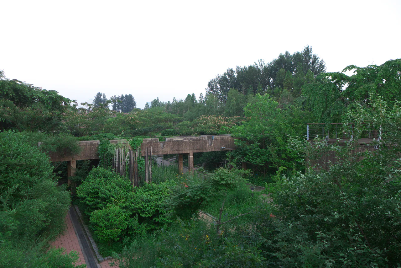 Weathered concrete beams and columns cross above dense green planting and narrow brick paths in Seonyudo Park.