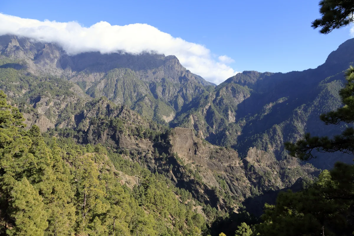 Paredes escarpadas de la caldera cubiertas de pinos y crestas rocosas bajo nubes bajas.