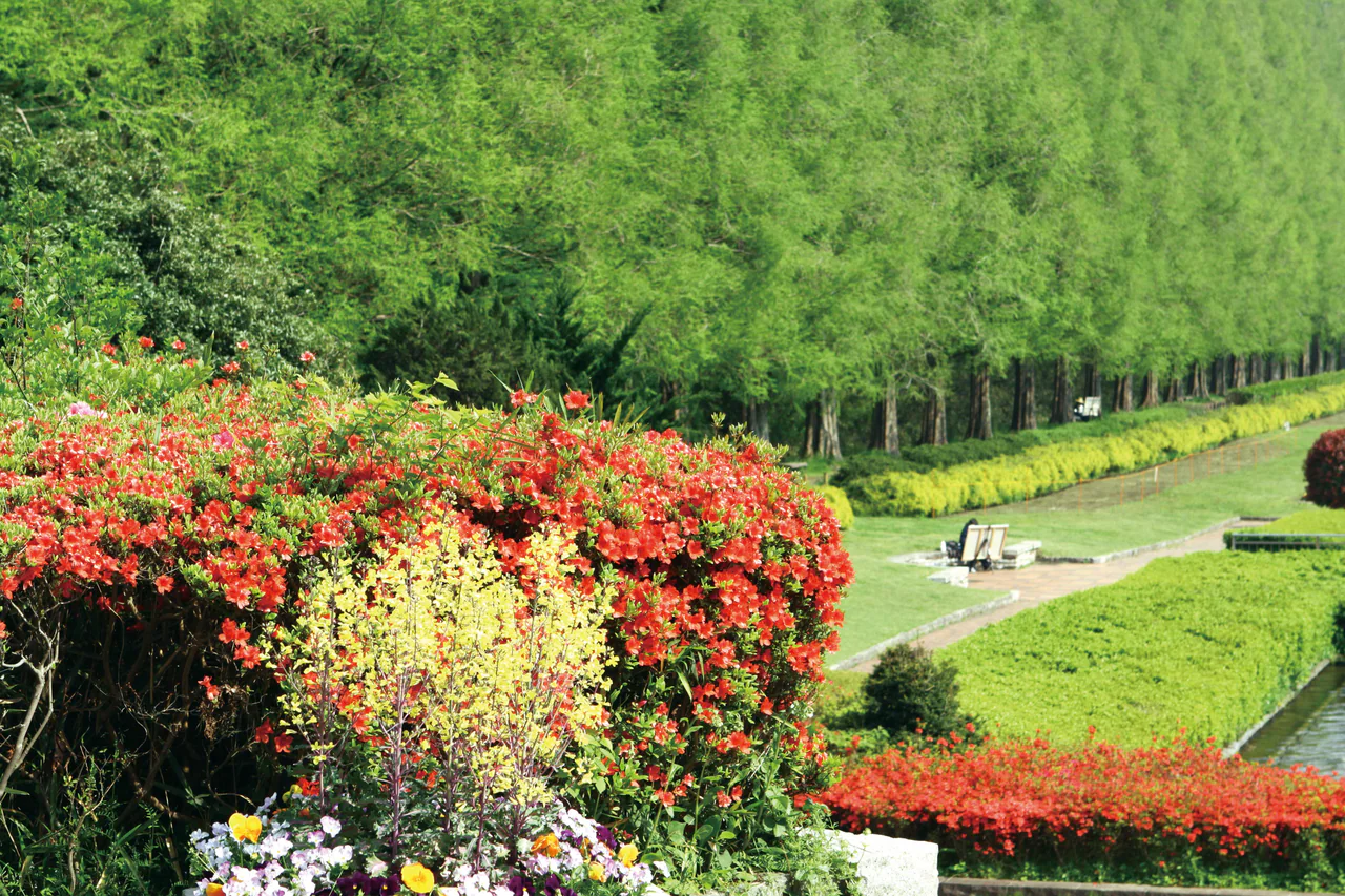Red and yellow flowers fill the foreground, with clipped hedges, a bench and a row of tall green trees behind.