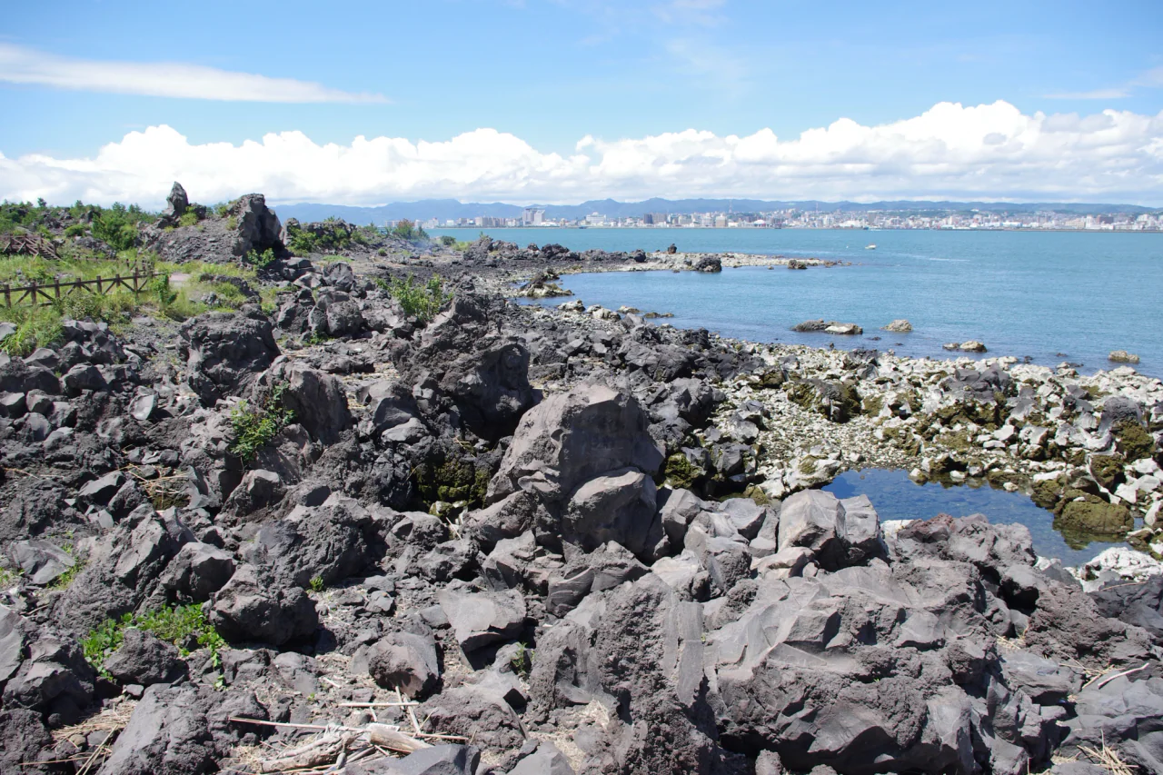 Dark, jagged coastal lava rocks and patches of greenery beside blue water, with a city across the bay.