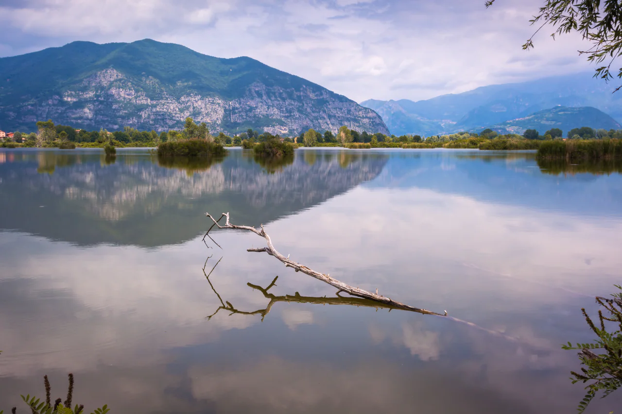 Calm water reflects wooded hills and a cloudy sky, with low vegetated islands and a fallen branch in the foreground.