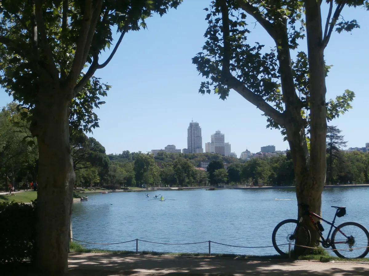 Two trees frame a blue lake and distant city buildings; a bicycle rests beside the near bank while small boats cross the water.