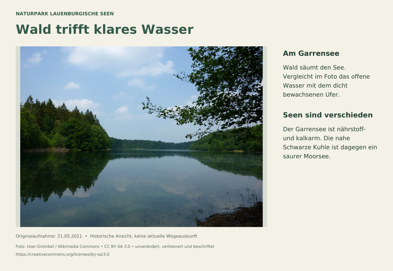 Ein stiller See mit spiegelnden, dicht bewaldeten Ufern unter blauem Himmel.