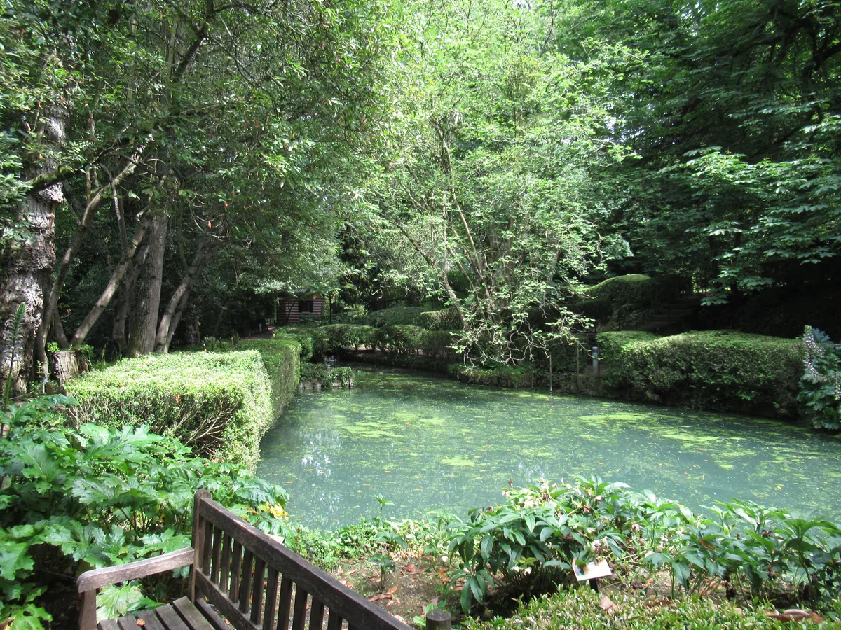 A pond reflects tall trees beside clipped hedges and flowering planting, with a wooden bench in the foreground.