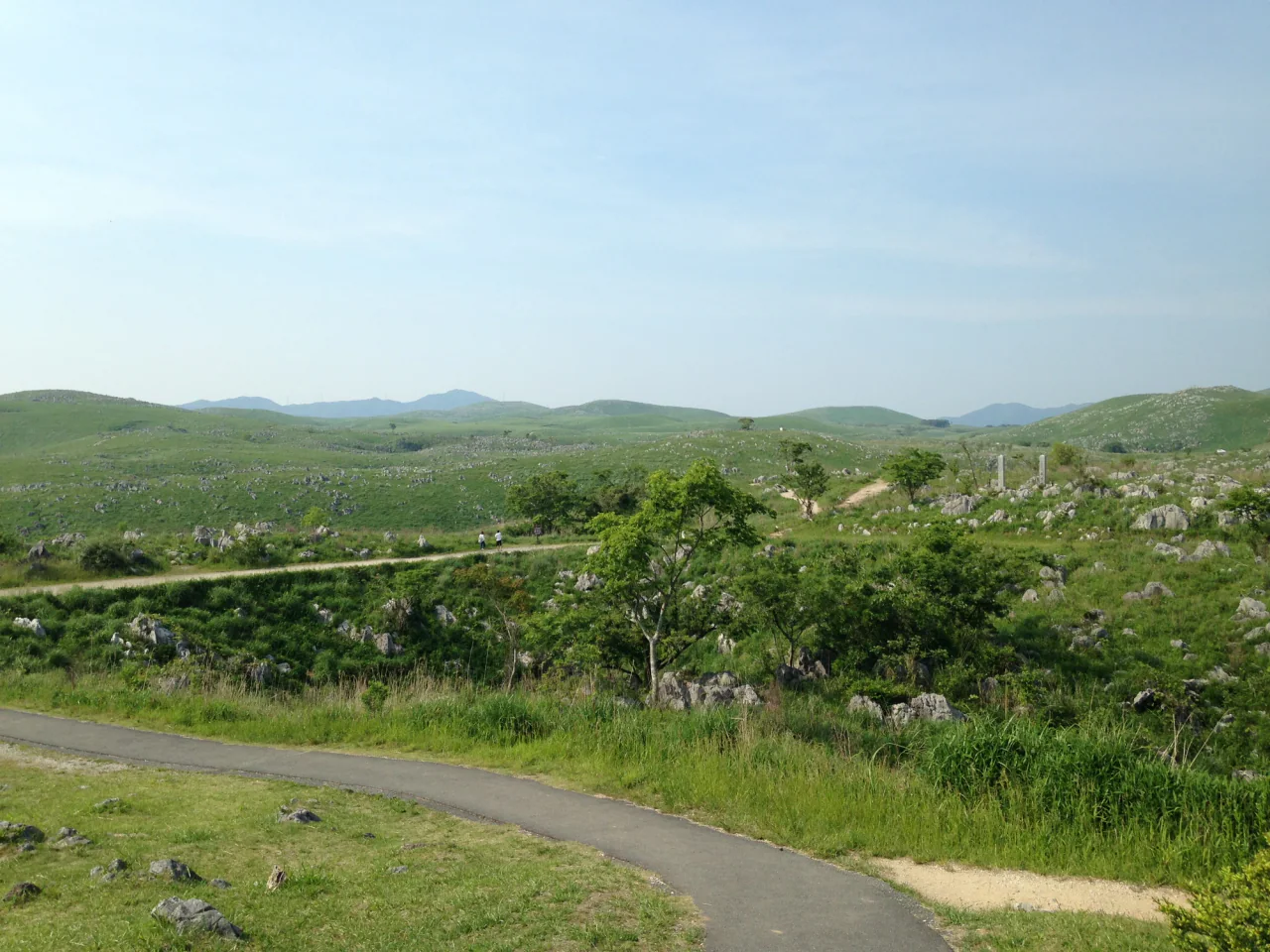 Low green hills dotted with pale rocks, with winding paths in the foreground.