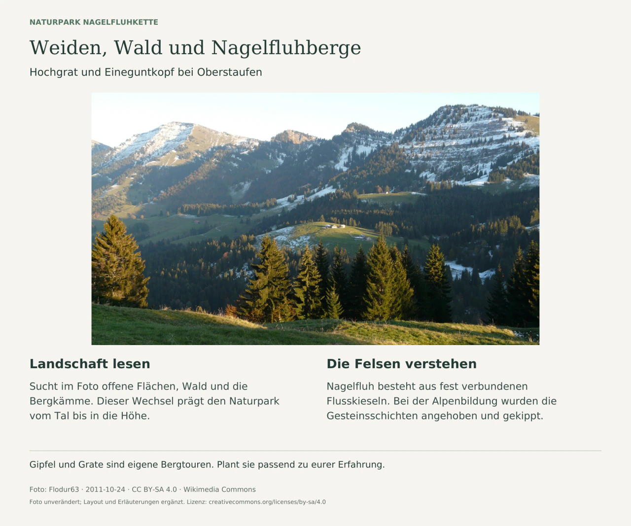 Bergpanorama mit offenen Hängen, Wald, Schneeresten und den Kämmen von Hochgrat und Eineguntkopf. Text erklärt die Landschaft und die Entstehung des Nagelfluhgesteins.