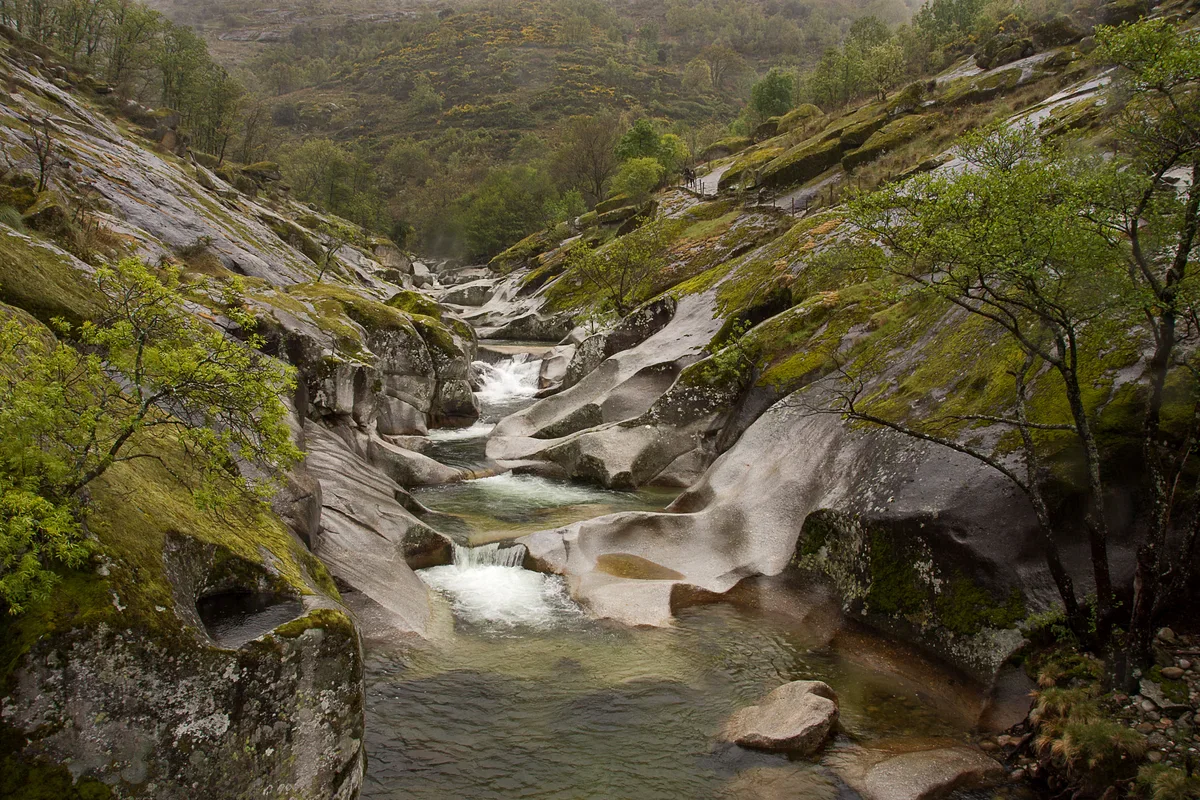 A stream cascading through smooth rock pools at Los Pilones, bordered by mossy granite and young green foliage.