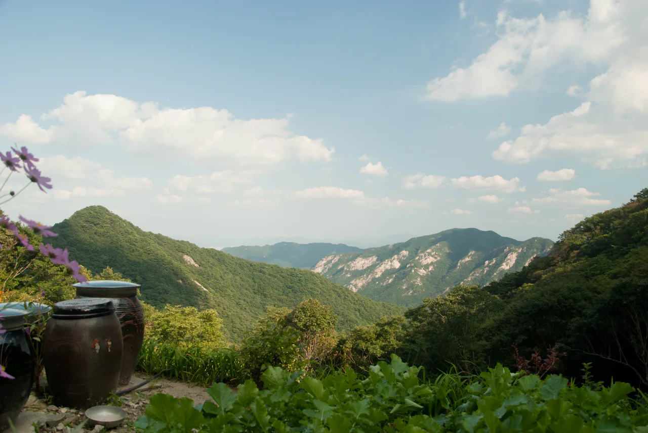 A forested valley and pale rocky ridges beneath a blue sky, with earthenware jars and flowers in the foreground.