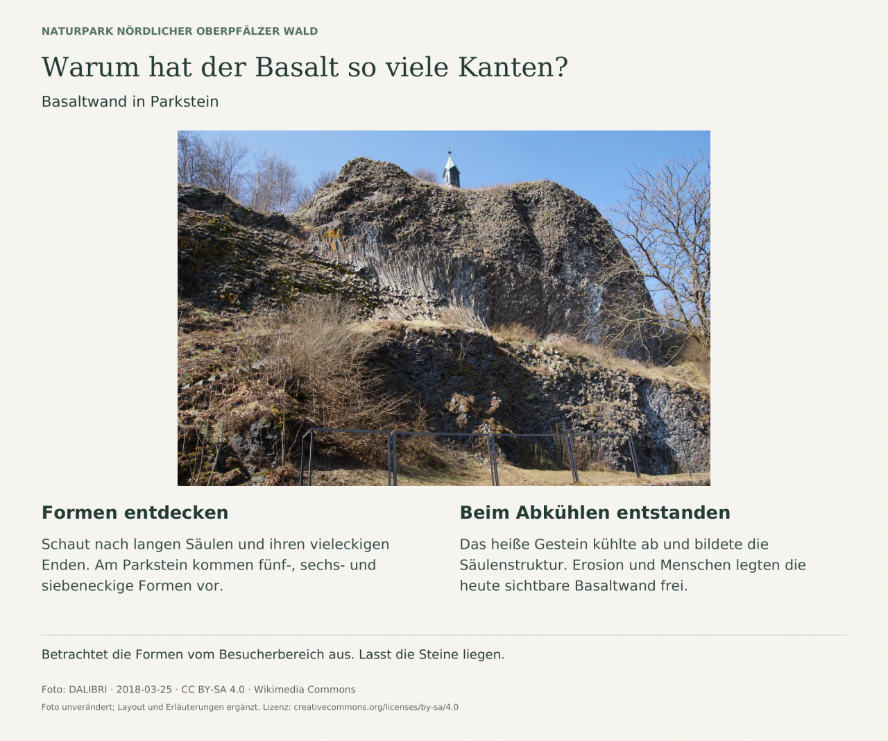 Nahansicht der dunklen Basaltwand am Parkstein mit dicht aneinanderliegenden, unterschiedlich ausgerichteten Säulen. Text regt zum Vergleichen der Formen an und erklärt die Abkühlung.