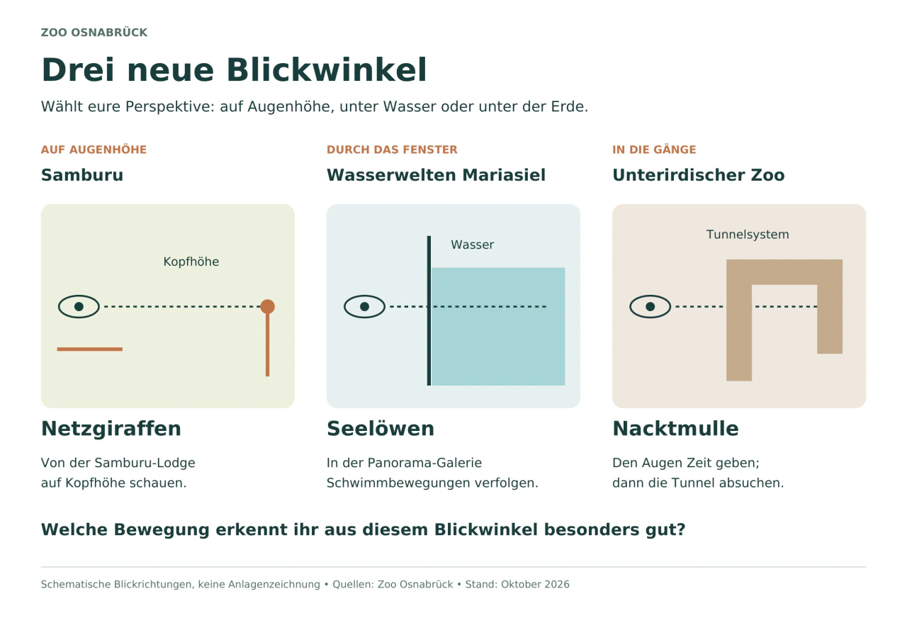 Drei abstrakte Blickdiagramme mit einem Auge und Blicklinie: Kopfhöhe in Samburu, Unterwasserfenster in Mariasiel und Tunnel im Unterirdischen Zoo.