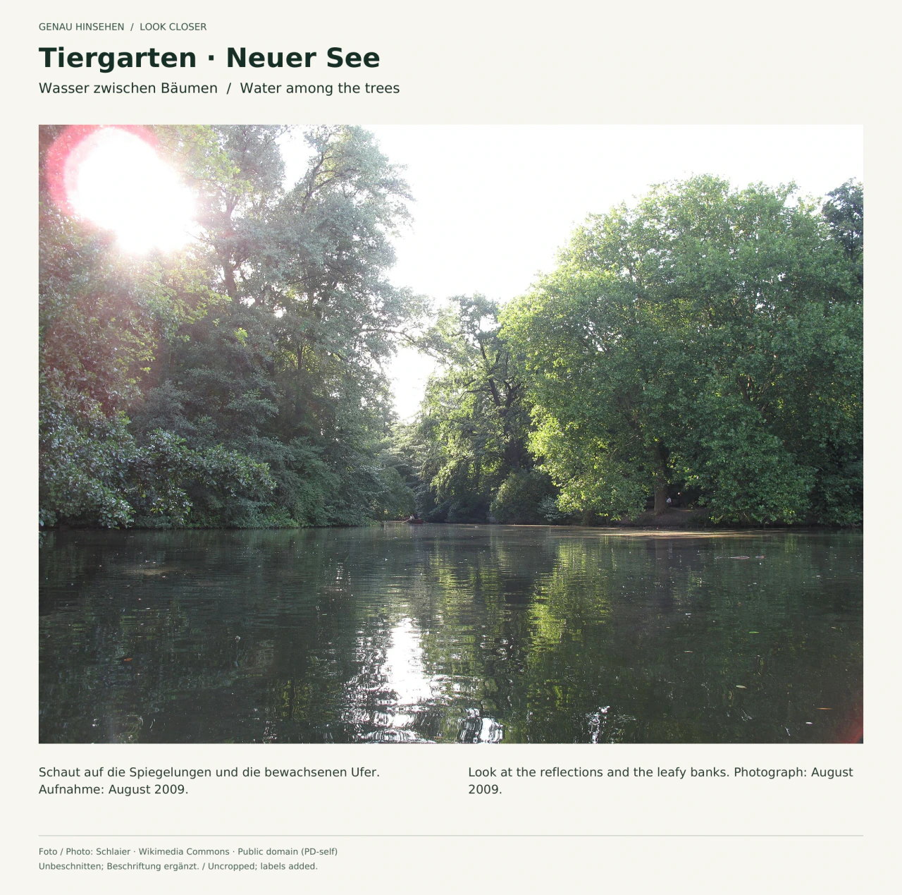 Der Neue See im Tiergarten im August 2009: dicht belaubte Bäume an beiden Ufern spiegeln sich im Wasser; links oben fällt helles Sonnenlicht durch die Krone.