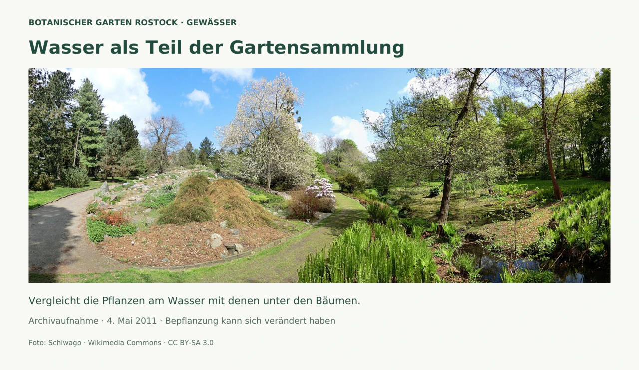 Panoramafoto eines Gartens im Frühling: links ein Weg neben einer steinigen Pflanzfläche, in der Mitte blühende Gehölze und ein weiterer Weg, rechts hohe grüne Blätter an einem schmalen Wasserlauf unter Bäumen.