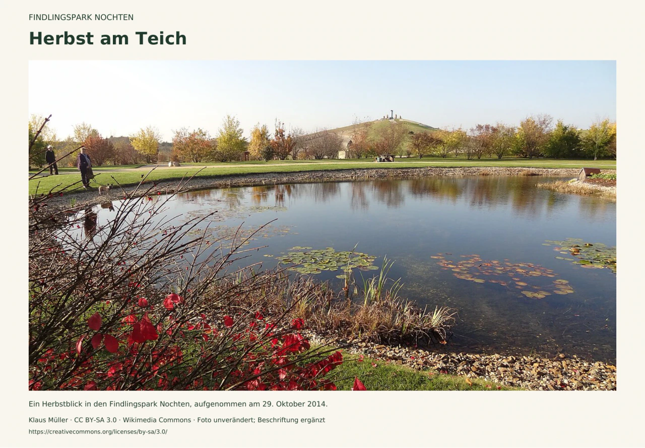 Ein Teich im Findlingspark Nochten mit Schwimmblättern, steinigem Ufer und roten Herbstblättern im Vordergrund; dahinter liegen Rasen, Bäume und eine Anhöhe.