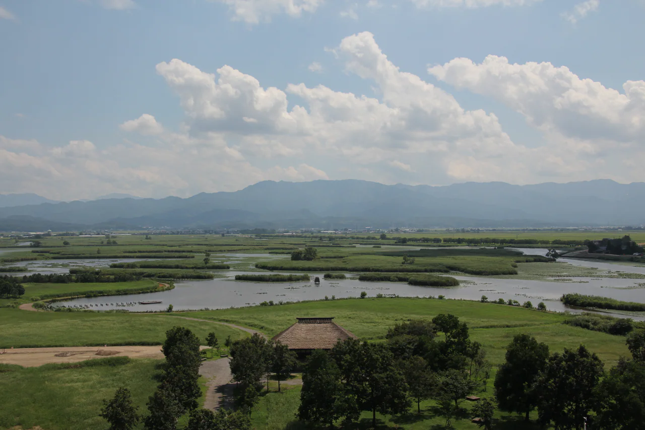 A reed-thatched roof and green trees stand in front of open water, patches of reeds and distant mountains beneath summer clouds.