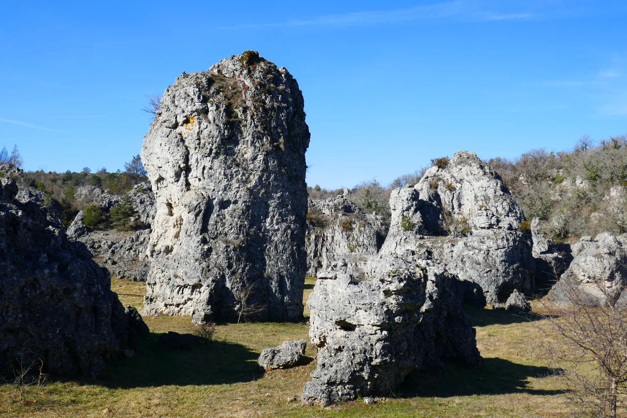 Tall, weathered grey rock towers stand among short grass, shrubs and leafless trees beneath a blue sky.