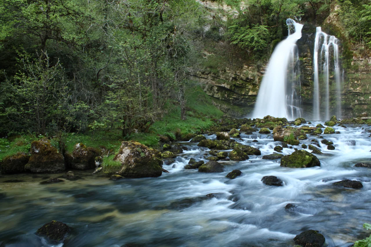 White water falls over layered rock beside green woodland and runs between moss-covered boulders.
