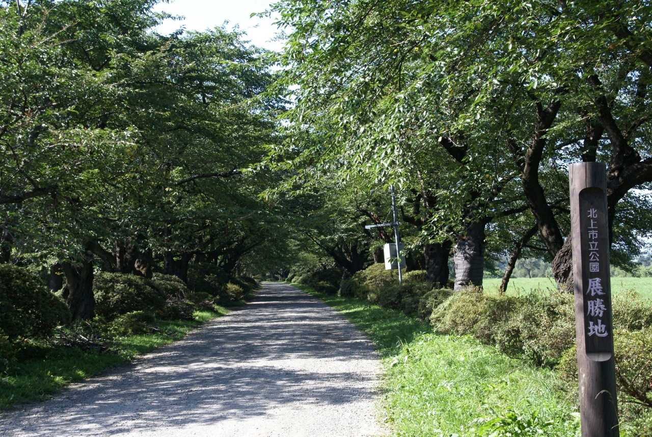 A gravel avenue runs beneath leafy trees beside a wooden sign bearing the Japanese name of Tenshochi Park.