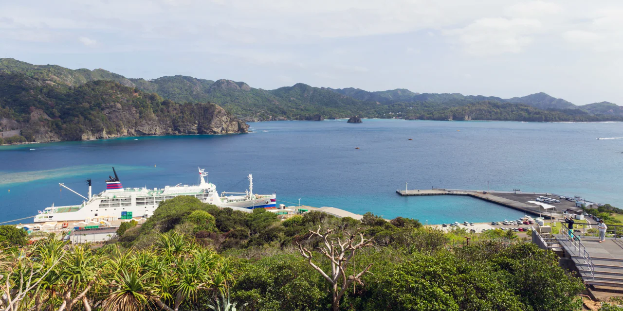 A blue bay is enclosed by green hills, with a large white passenger ship and harbour piers below; vegetation and an observation deck with a few visitors fill the foreground.