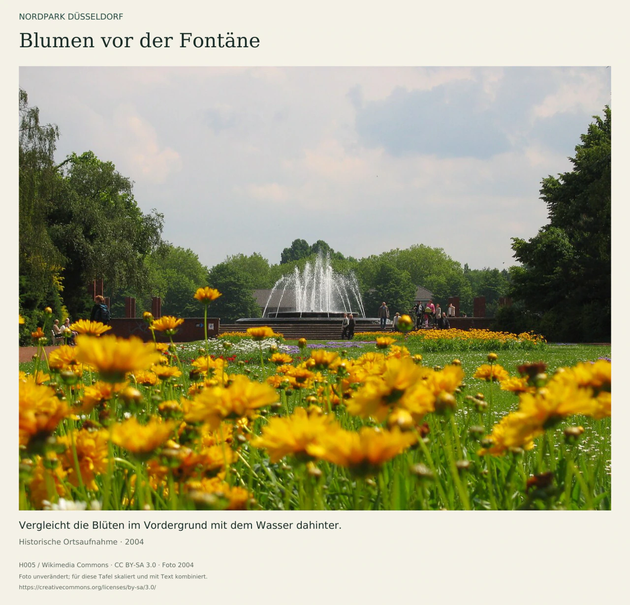 Historisches Foto mit gelben Blumen im Vordergrund, einer sprühenden Fontäne hinter einer Stufenterrasse und hohen Bäumen im Düsseldorfer Nordpark.