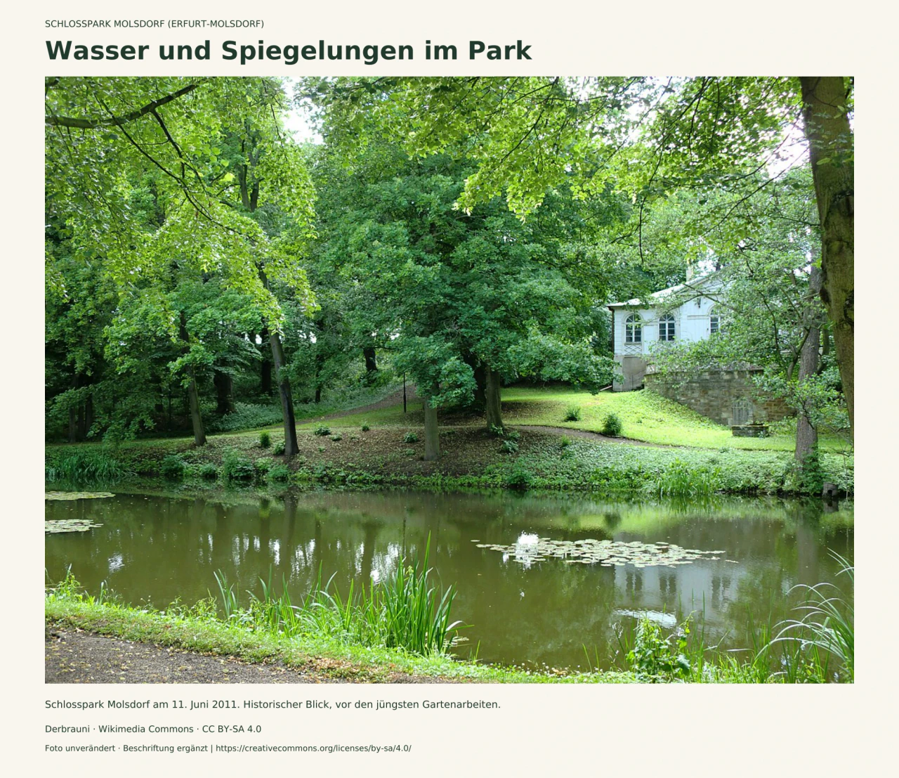 Historisches Sommerfoto eines Teichs im Schlosspark Molsdorf, mit Spiegelungen der dicht belaubten Bäume und eines hellen Gartenbaus am gegenüberliegenden Ufer.
