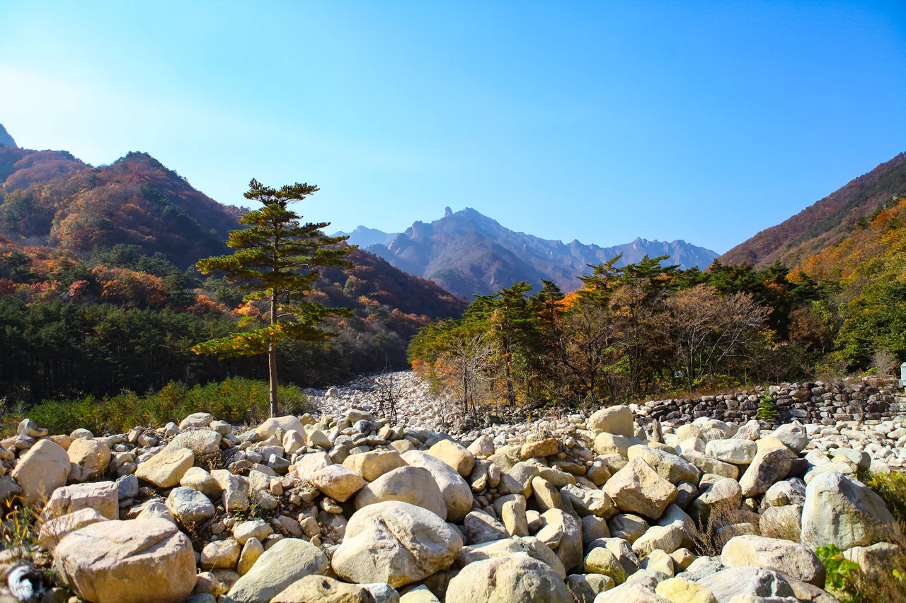 A boulder-filled valley framed by green pines and autumn-coloured slopes, with jagged mountain ridges under a clear blue sky.