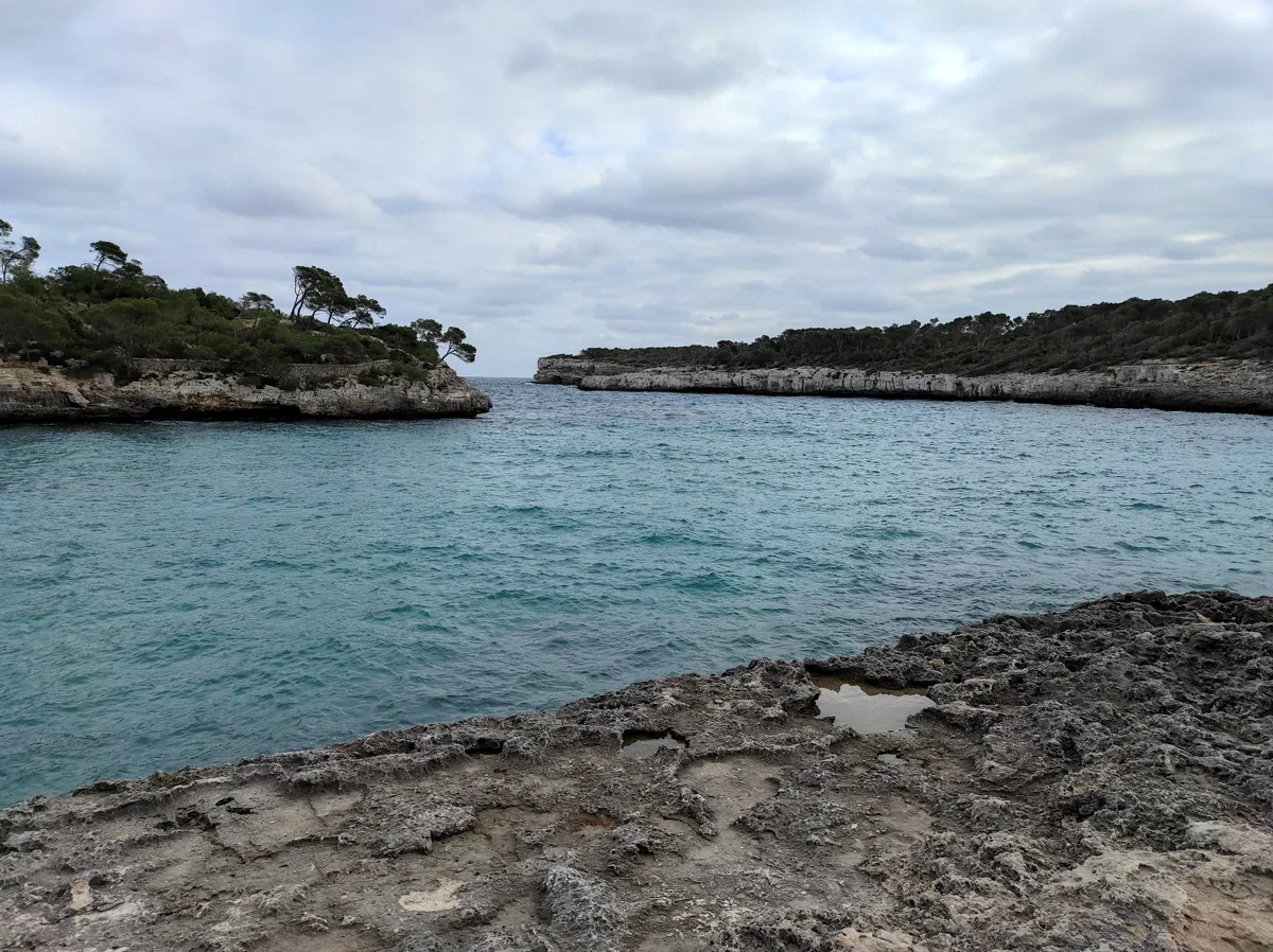 A sheltered turquoise cove between low rocky headlands with pines and scrub, seen over an uneven rock shelf.