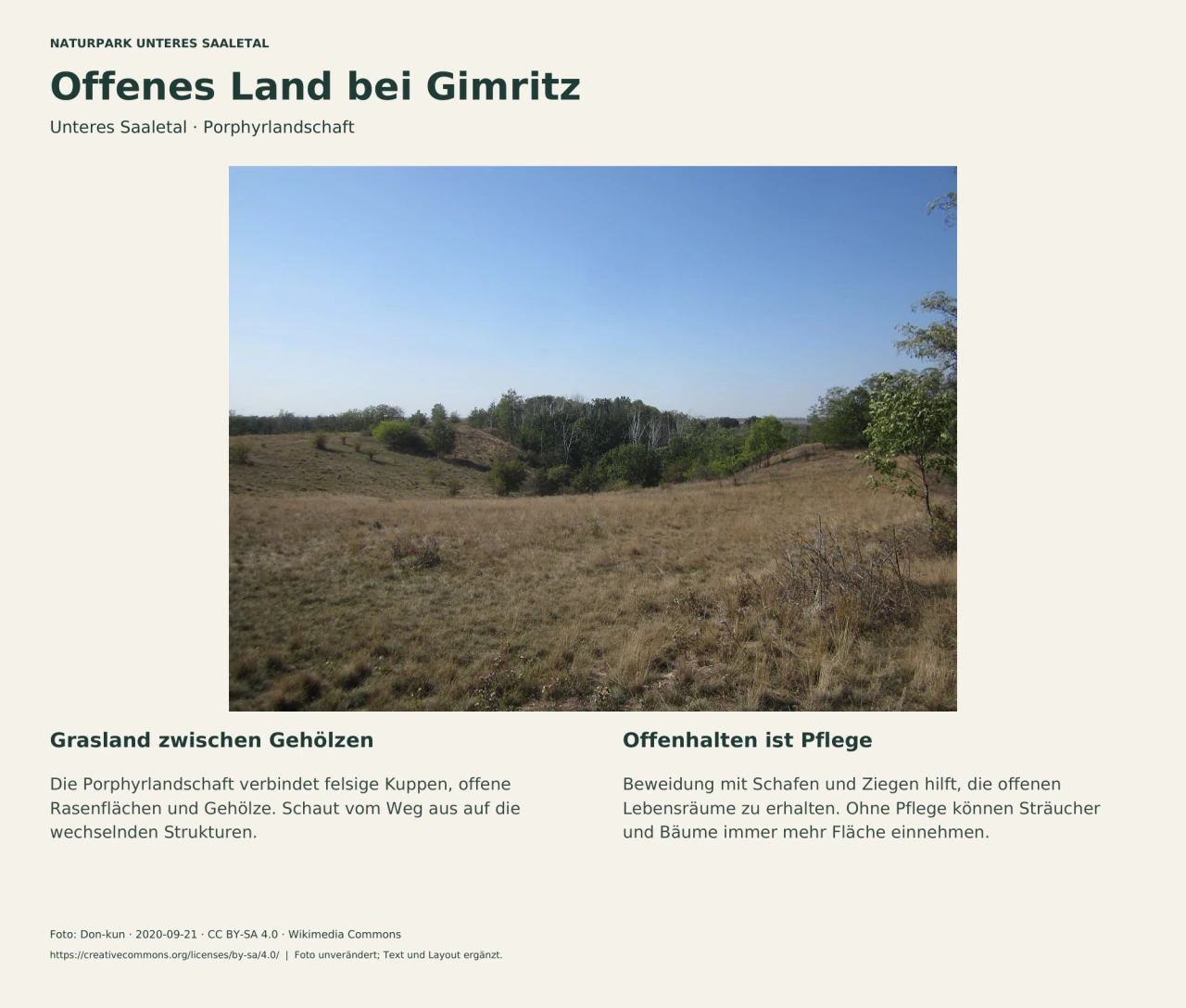 Offene braune Grasflächen bei Gimritz, dazwischen Gehölzgruppen und eine Senke; Text erklärt die Pflege der offenen Lebensräume.