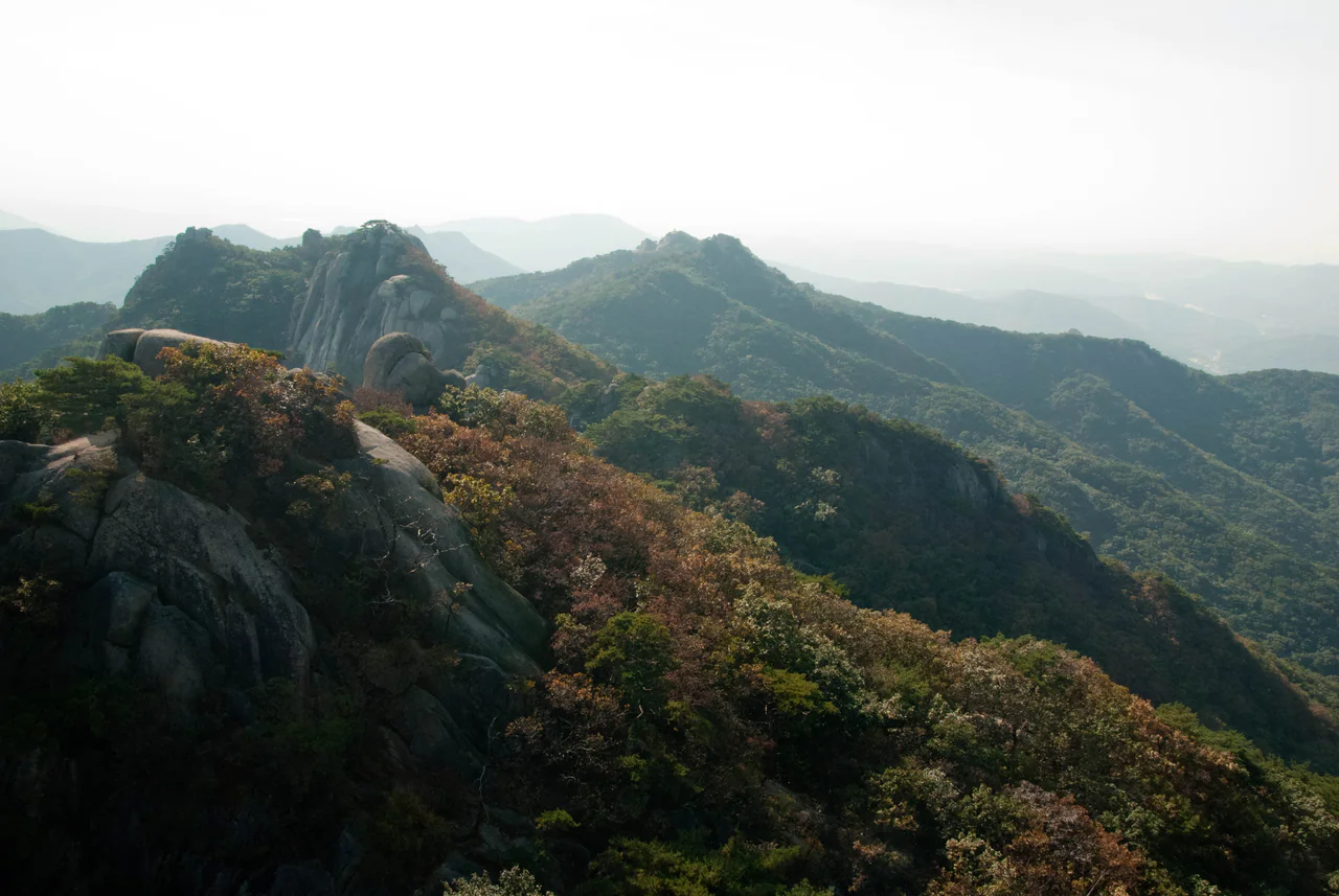 Rounded granite outcrops rise above forested ridges, with distant hills fading into haze beneath a pale sky.