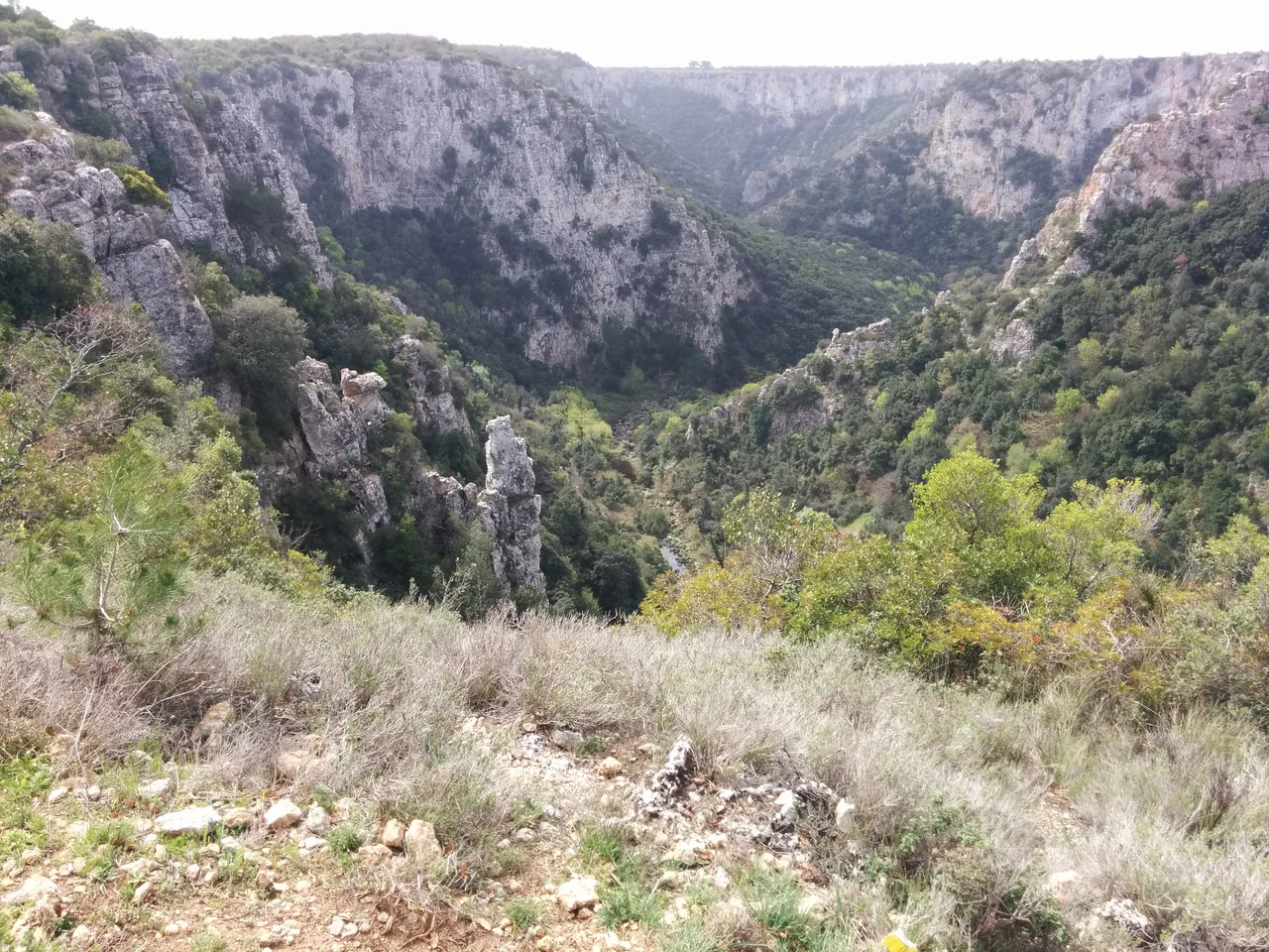 Pale, layered cliffs curve around a deep ravine filled with green vegetation, with scrub and rough rock in the foreground.