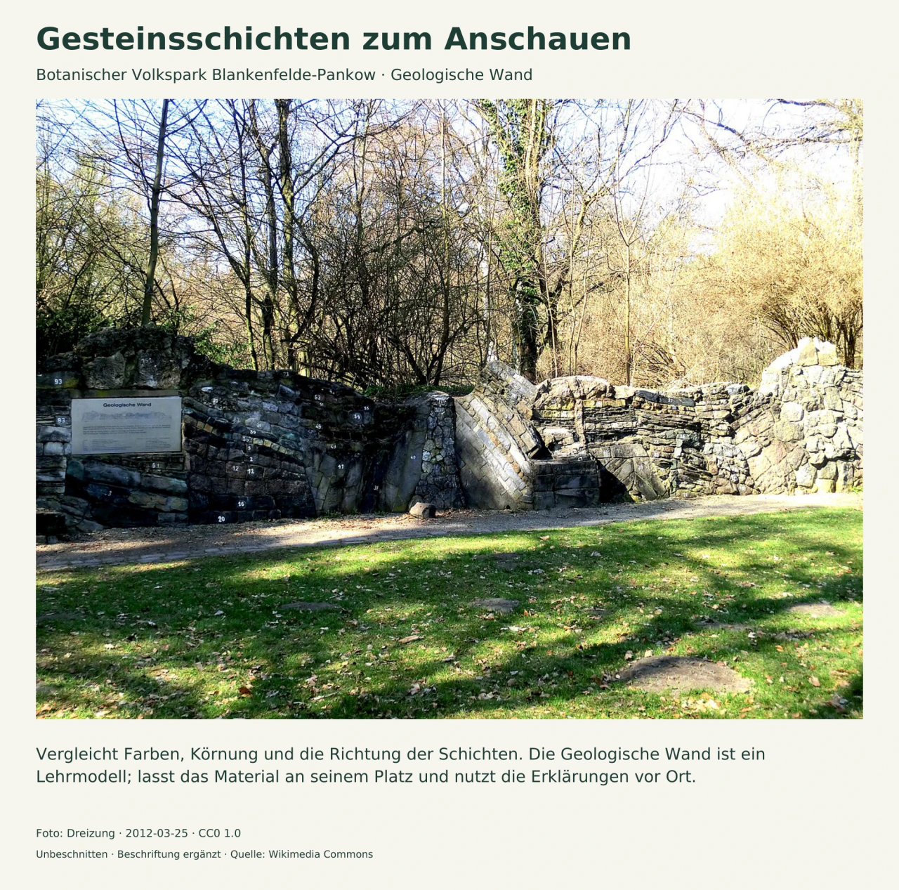 Eine niedrige Lehrwand aus unterschiedlich ausgerichteten Gesteinsschichten trägt kleine weiße Zahlen und eine Erklärungstafel; davor liegen Weg und Rasen, dahinter kahle Bäume.