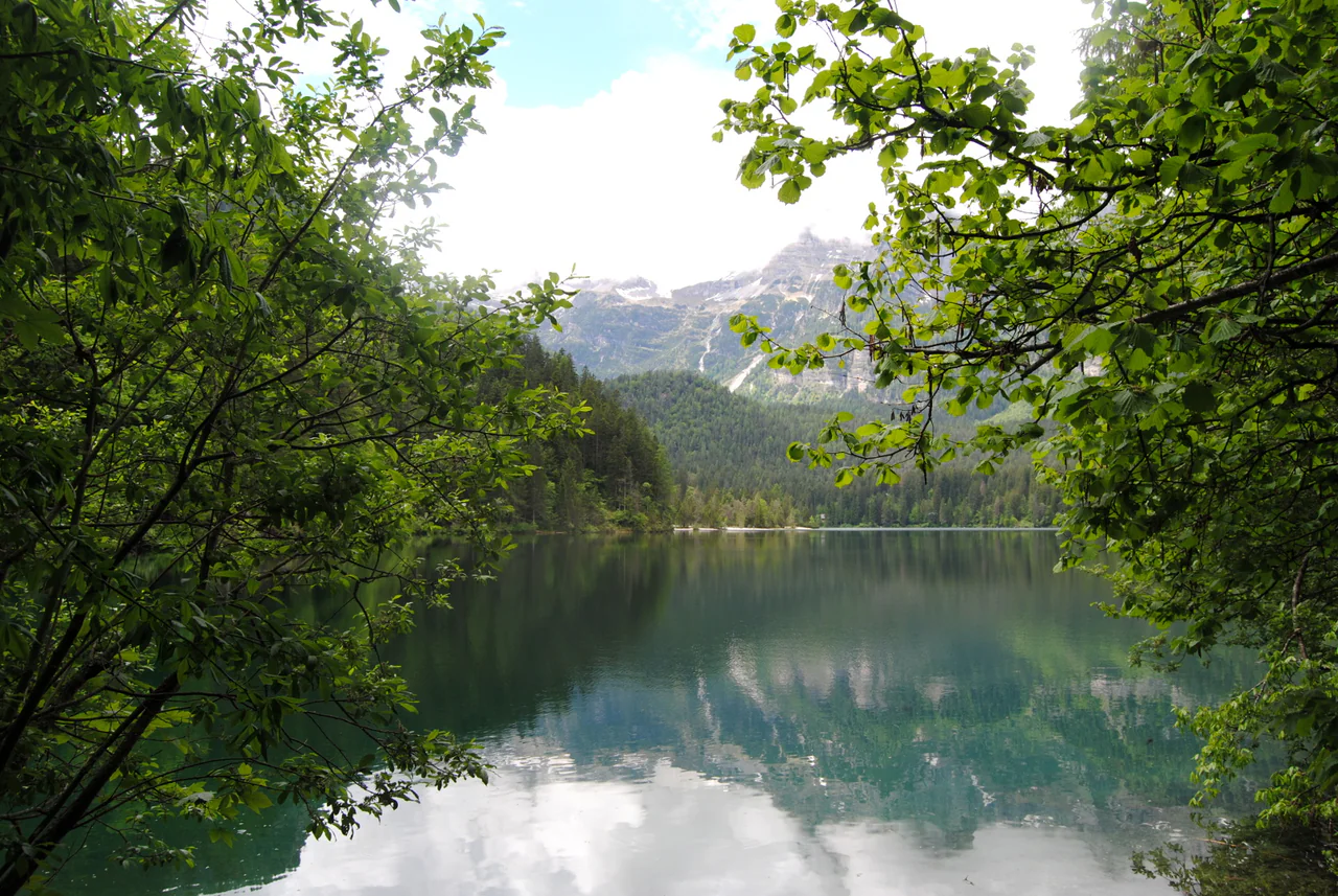 Green branches frame still lake water reflecting a forested shore and pale mountains partly hidden by cloud.