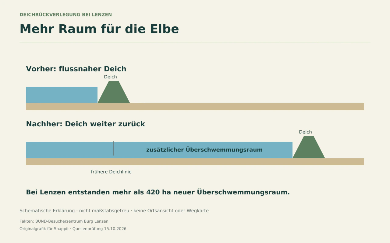 Zwei schematische Querschnitte vergleichen einen flussnahen und einen zurückverlegten Deich.
