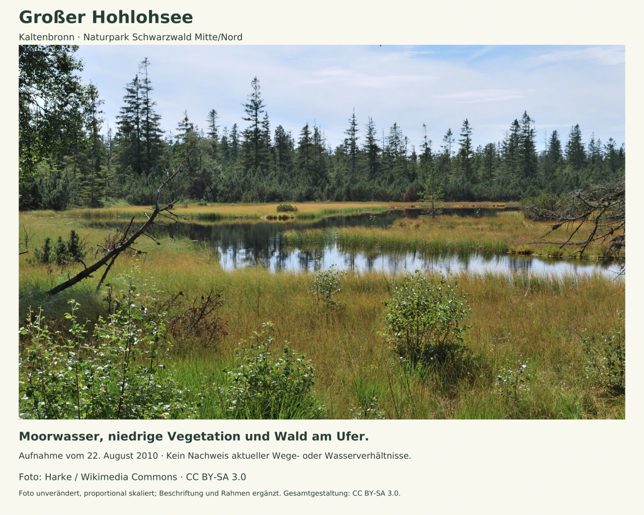 Moorsee mit dunklem Wasser, niedriger Ufervegetation und Nadelbäumen im Hintergrund.