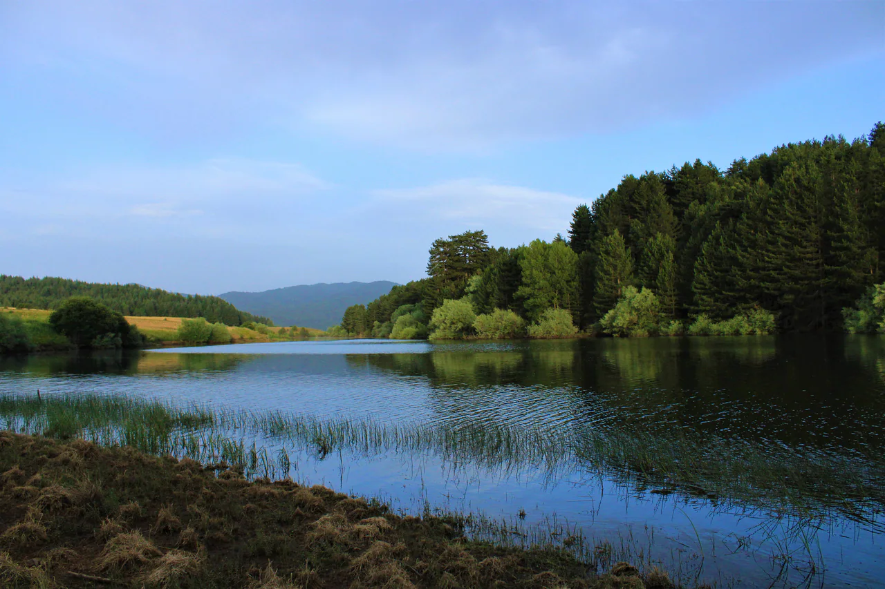 Blue water with reeds in the foreground, a wooded bank on the right, open grassy land on the left and distant hills beneath a pale blue sky.
