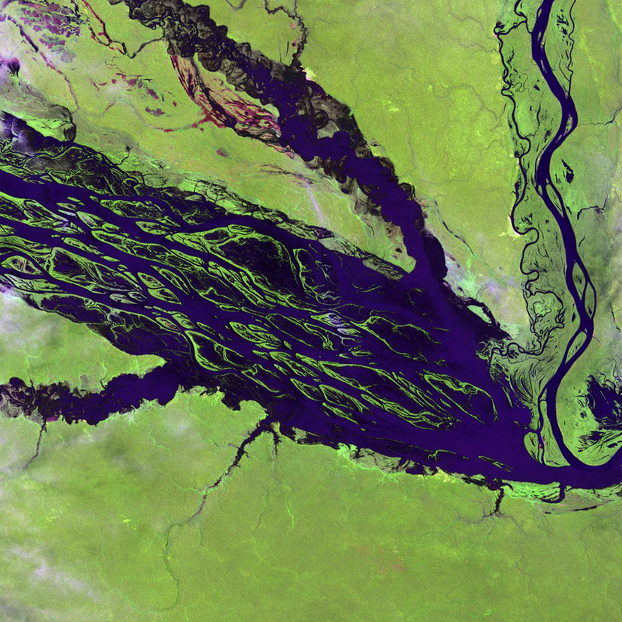 Imagem histórica de satélite em falsa cor, de 31 de agosto de 2000: largos canais fluviais e ilhas em azul-escuro e roxo, entre áreas terrestres em verde vivo e rosa. Mostra o contexto regional próximo à borda leste do Jaú, não uma fotografia em solo nem um limite mapeado do parque.