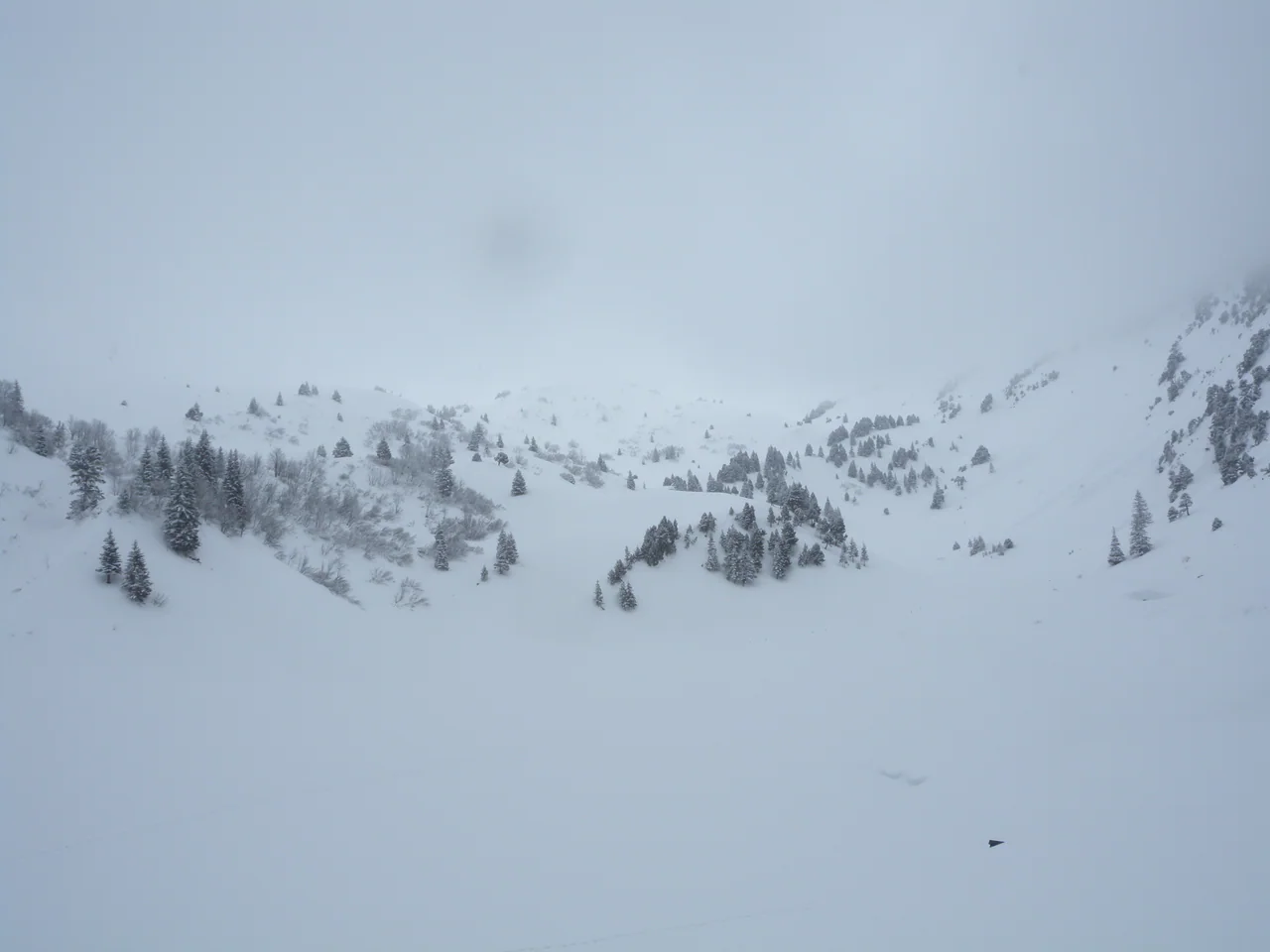 Snow covers a mountain hollow dotted with dark conifers and bare shrubs, while the upper slopes disappear into thick fog.