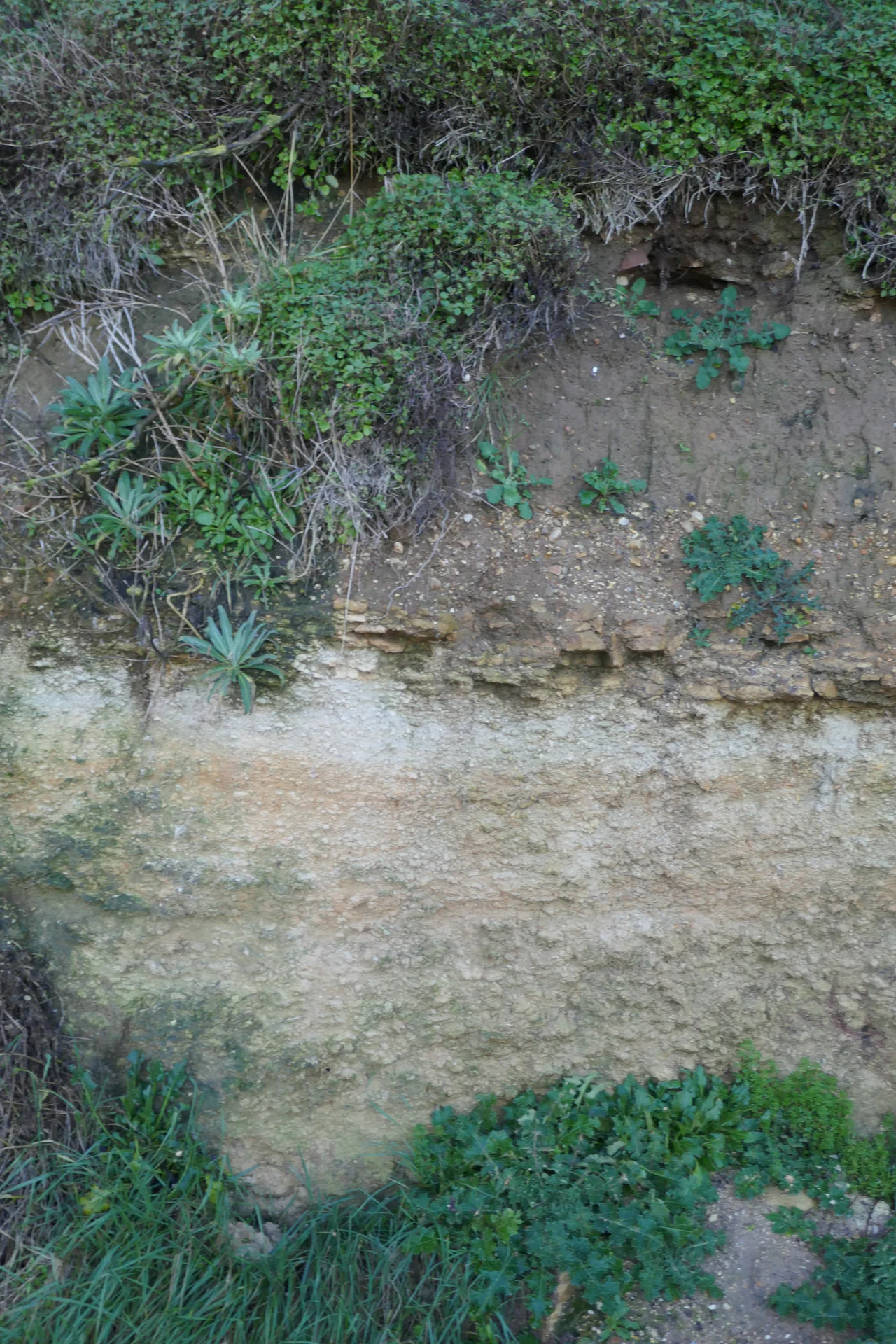 A narrow band of pebbles lies between pale rock and darker soil, with vegetation above and beside it.