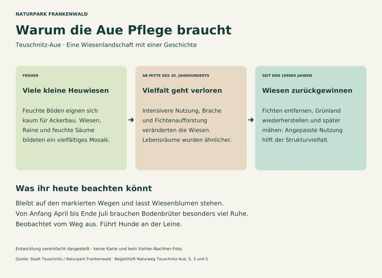 Dreiteiliges Ablaufdiagramm: kleinteilige Heuwiesen; Veränderungen durch intensive Nutzung, Brache und Fichten; seit den 1990er Jahren Wiederherstellung von Grünland und spätere Mahd.