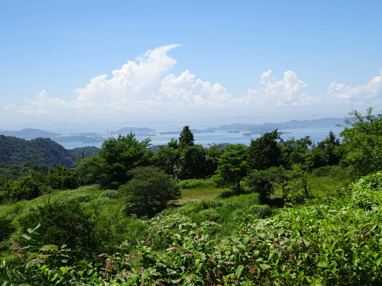 Green hillside vegetation frames hazy islands and distant bridge spans across the blue Seto Inland Sea.