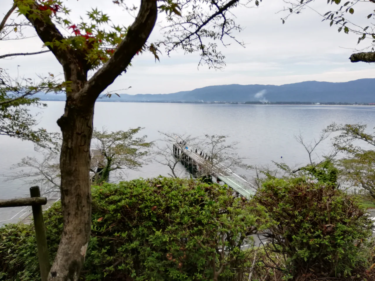 A leafy tree and shoreline shrubs frame Lake Biwa, a narrow pier and hills across the water.