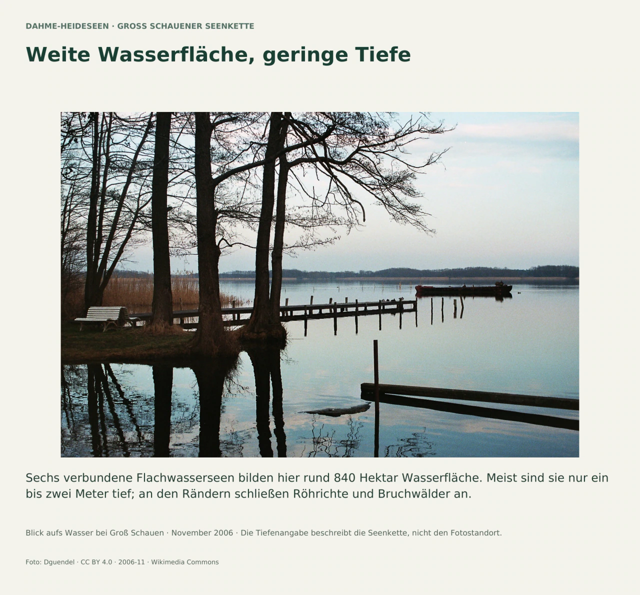 Blick zwischen unbelaubten Bäumen über einen Steg auf ruhiges Wasser bei Groß Schauen; ein Boot liegt weiter draußen. Der Text erklärt die geringe Tiefe der Seenkette.
